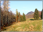 foto Valle delle Mura in Autunno